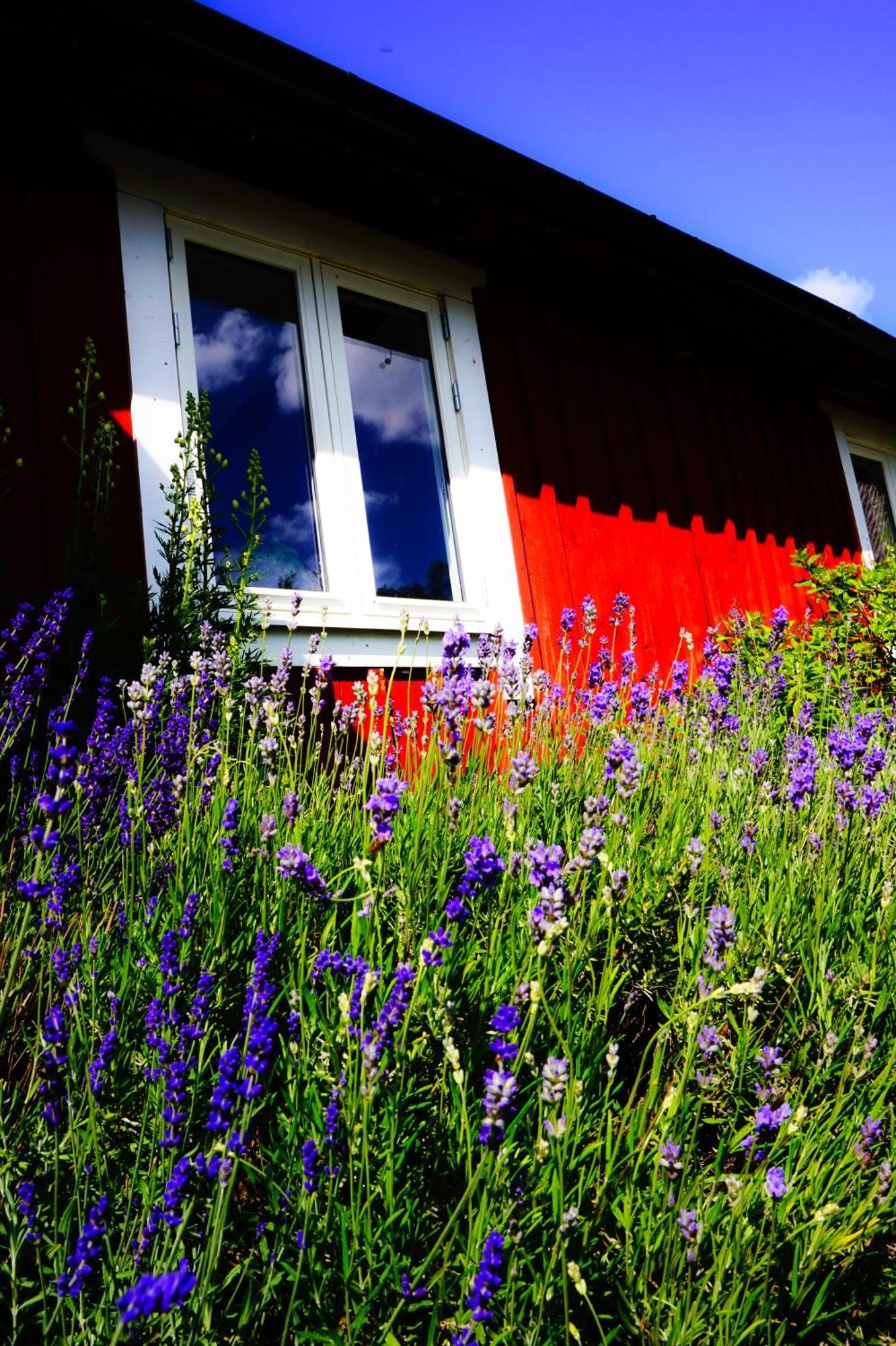 Liten Paerontraedgard Perstorp Exterior foto